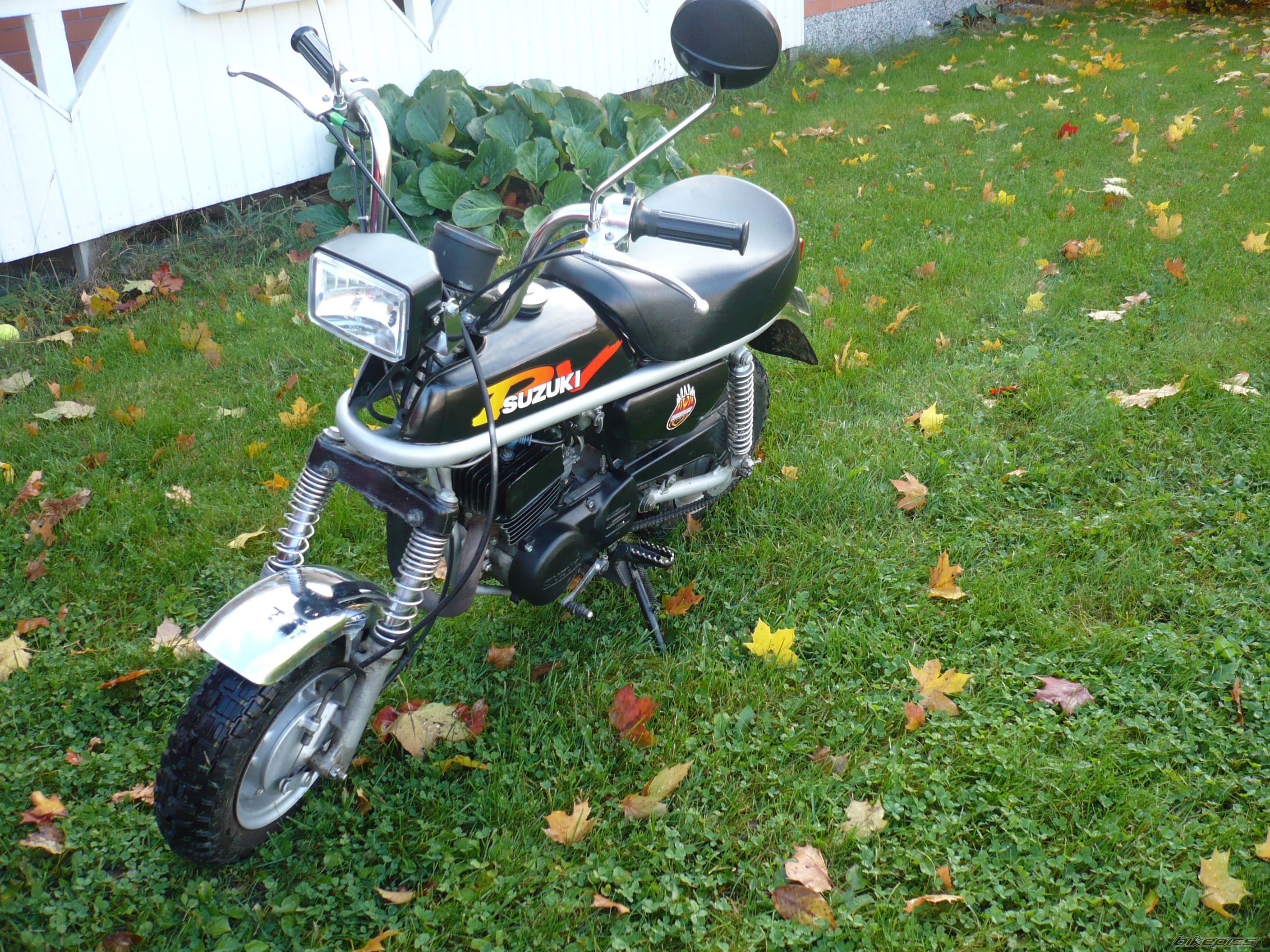 Photo 1499897