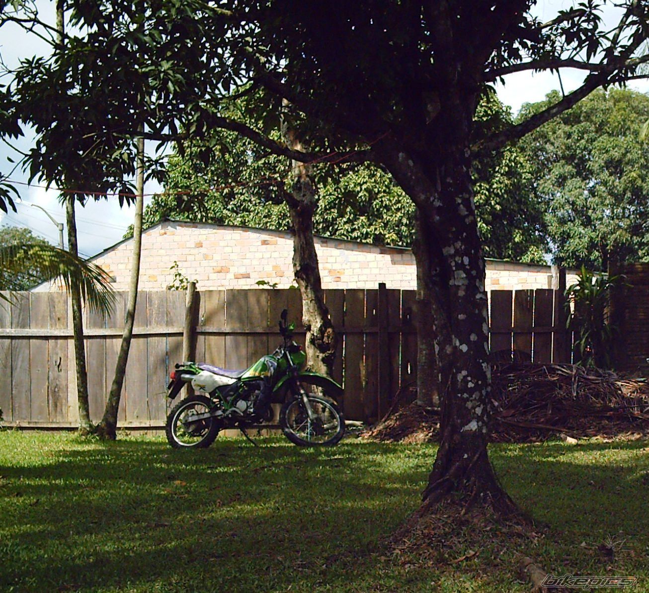 Bike Photo 1499984