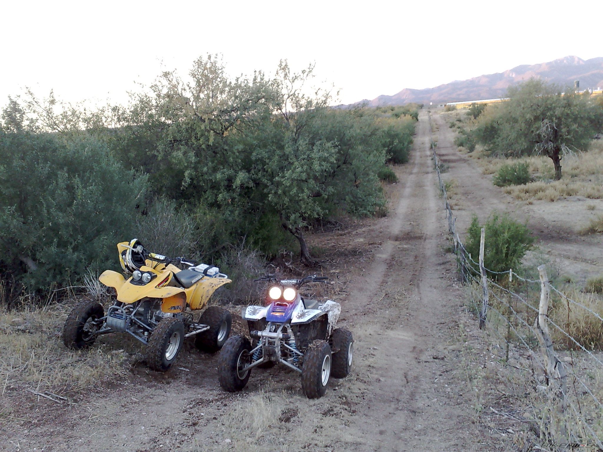 Bike Photo 1500058