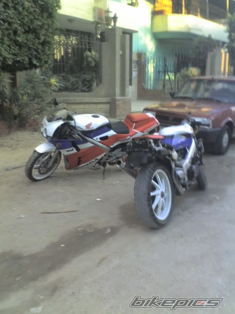 Photo 1500259