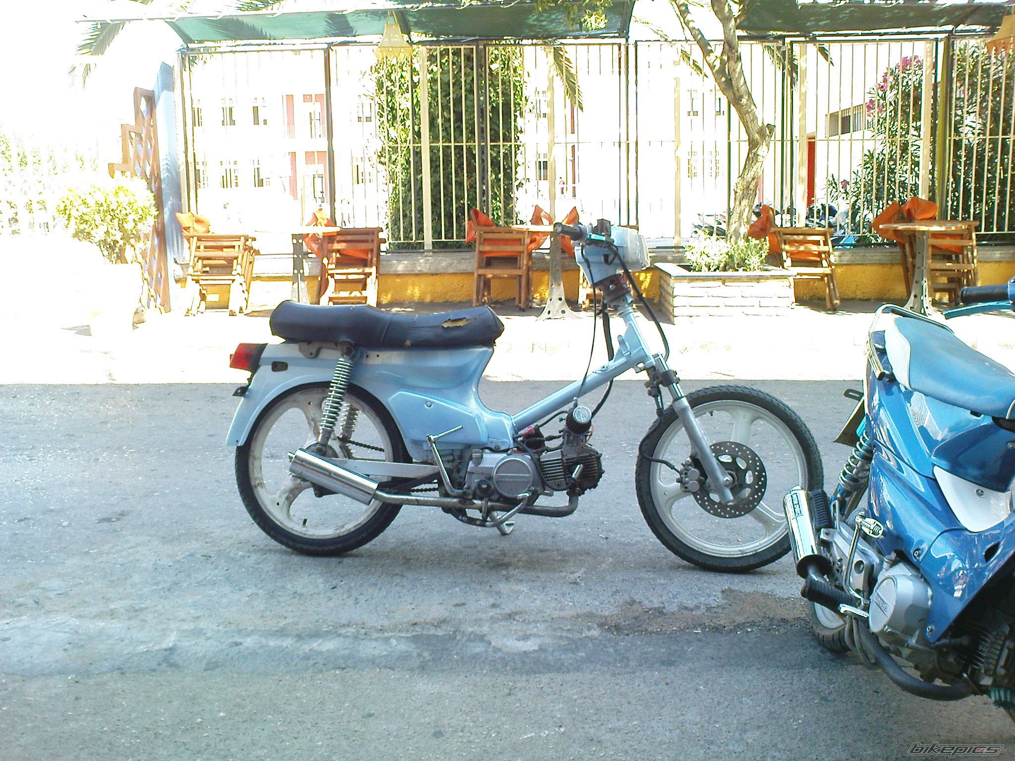 Photo 1500554