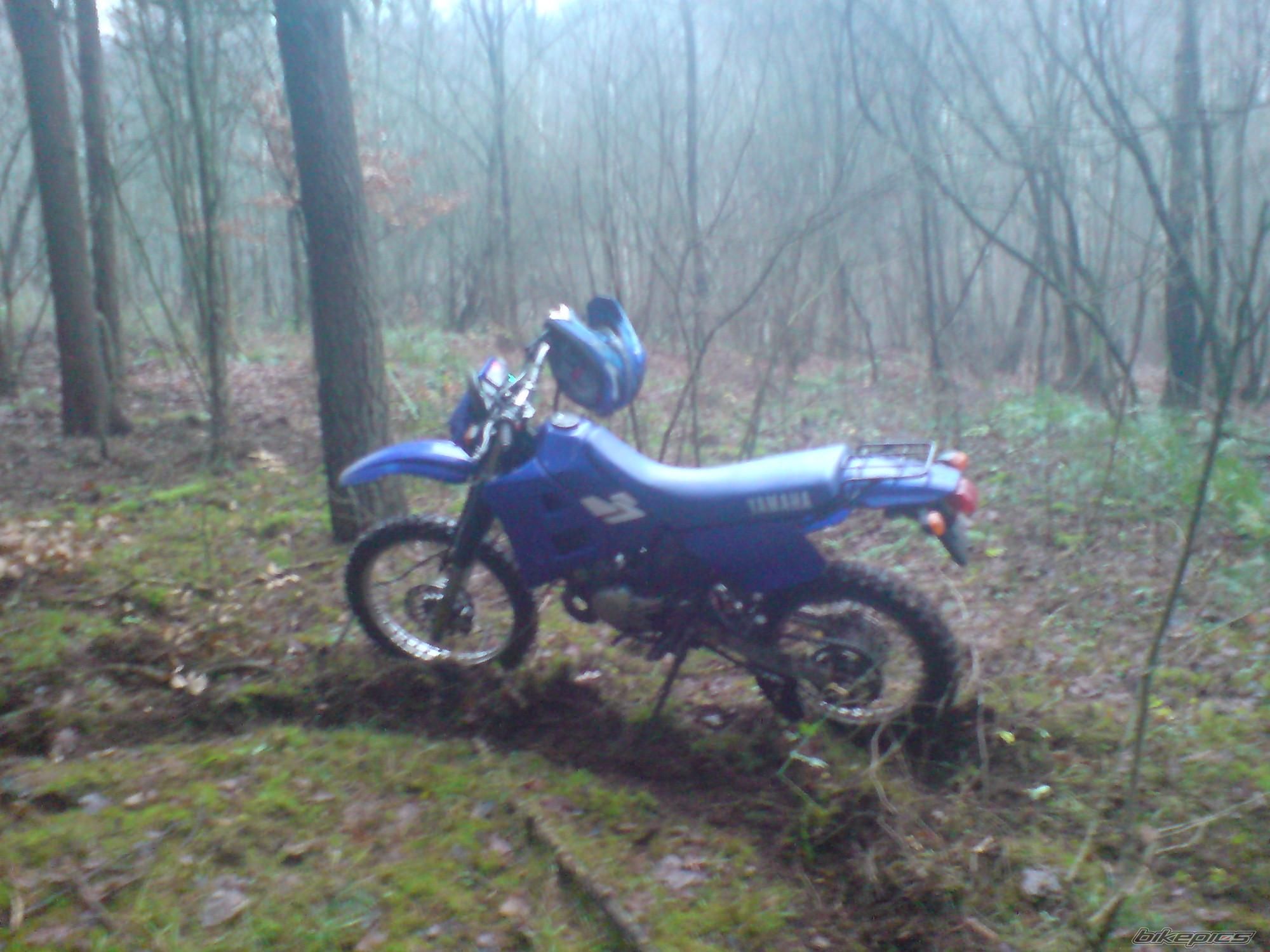 Bike Photo 1500649
