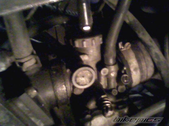 Photo 1500660