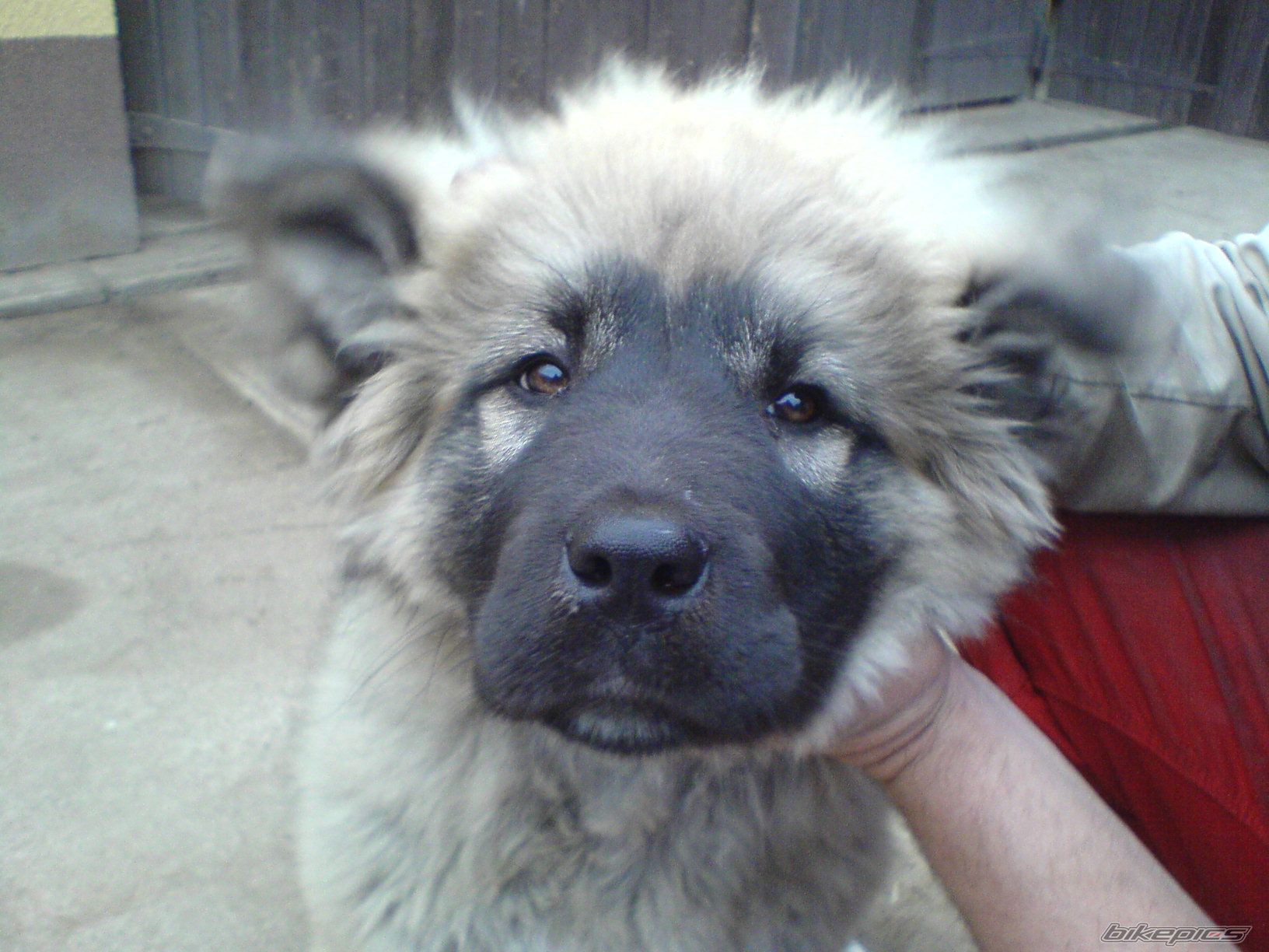 Photo 1500789