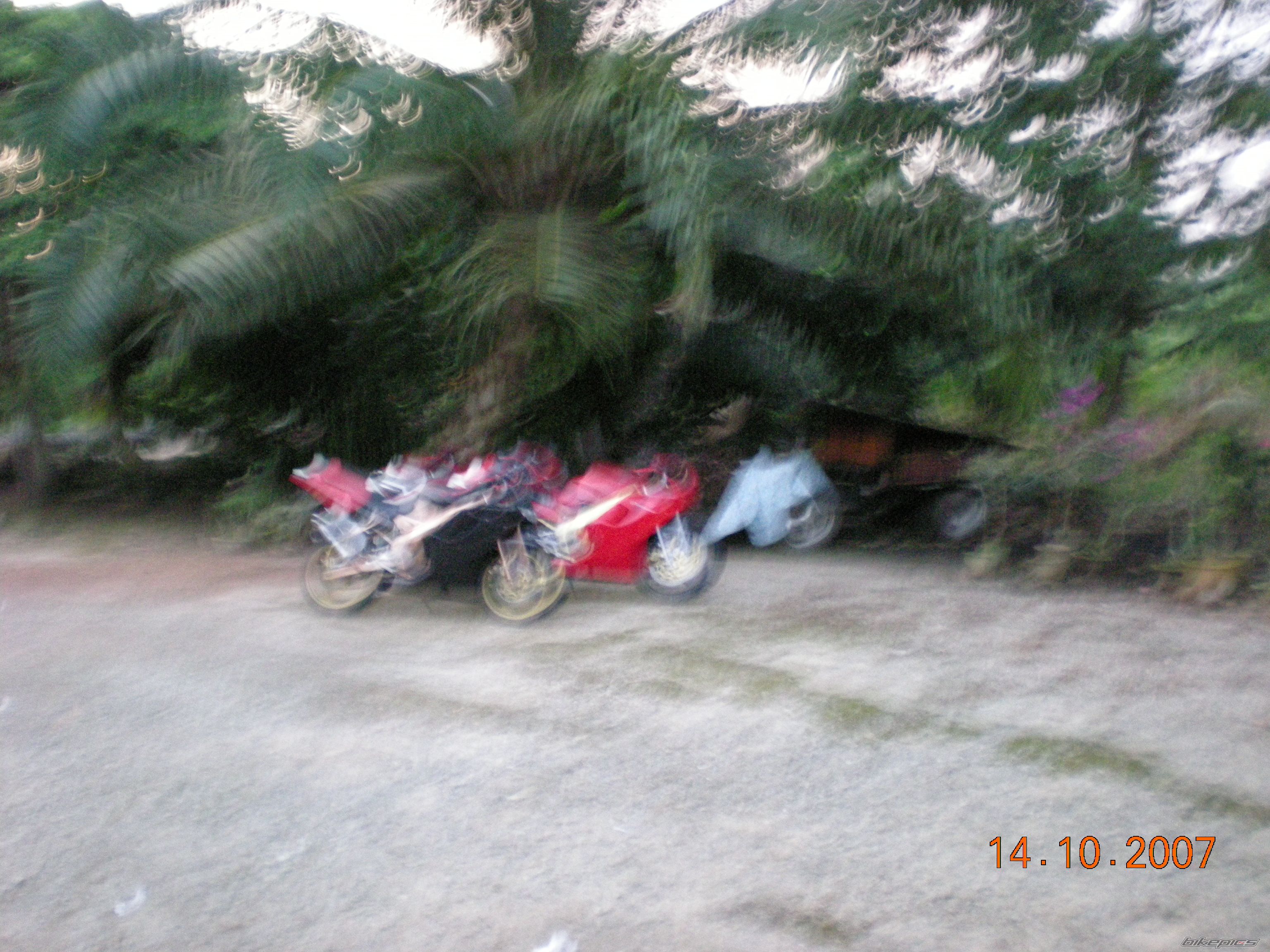 Photo 1500944
