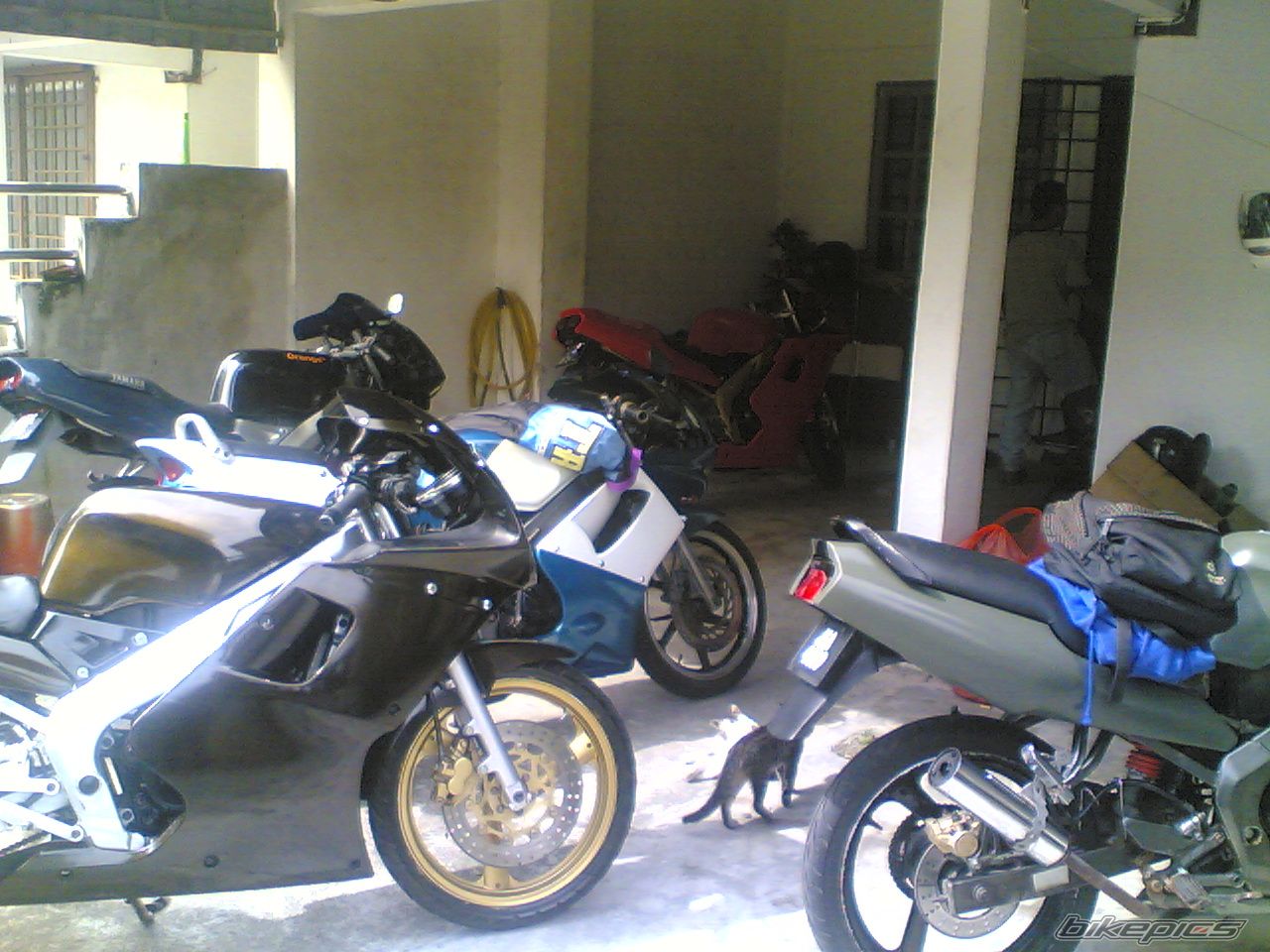 Photo 1500967