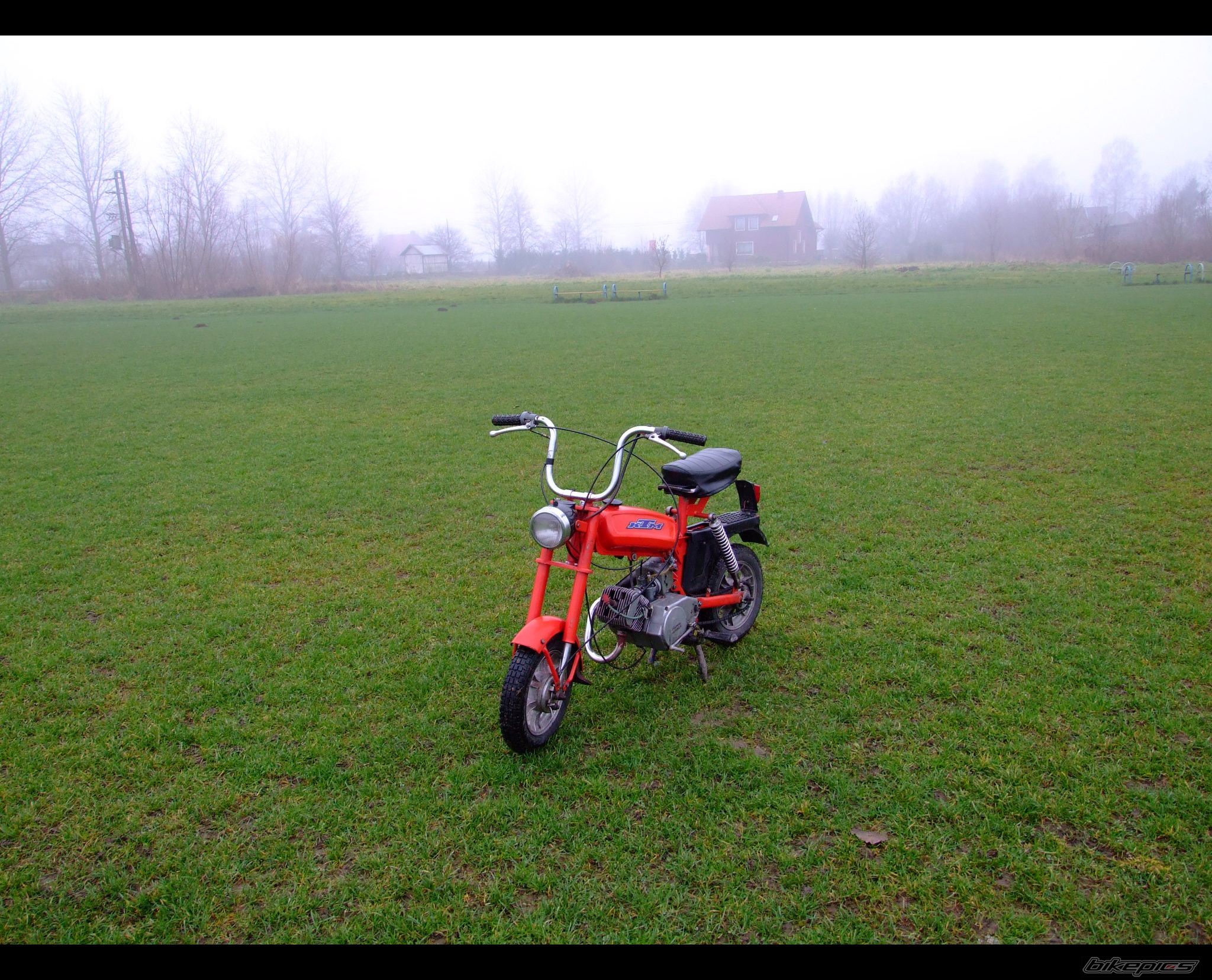 Photo 1501026