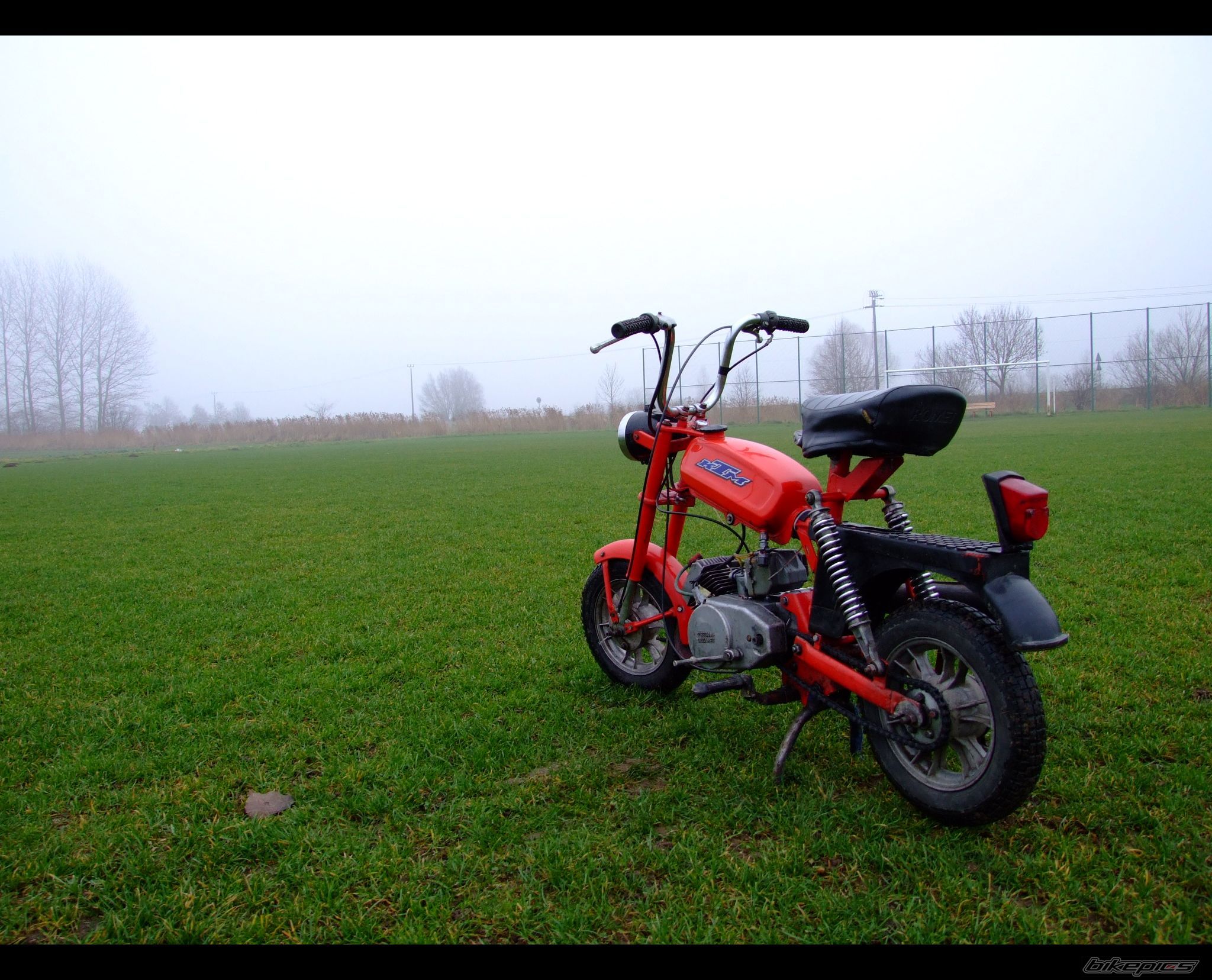 Photo 1501028