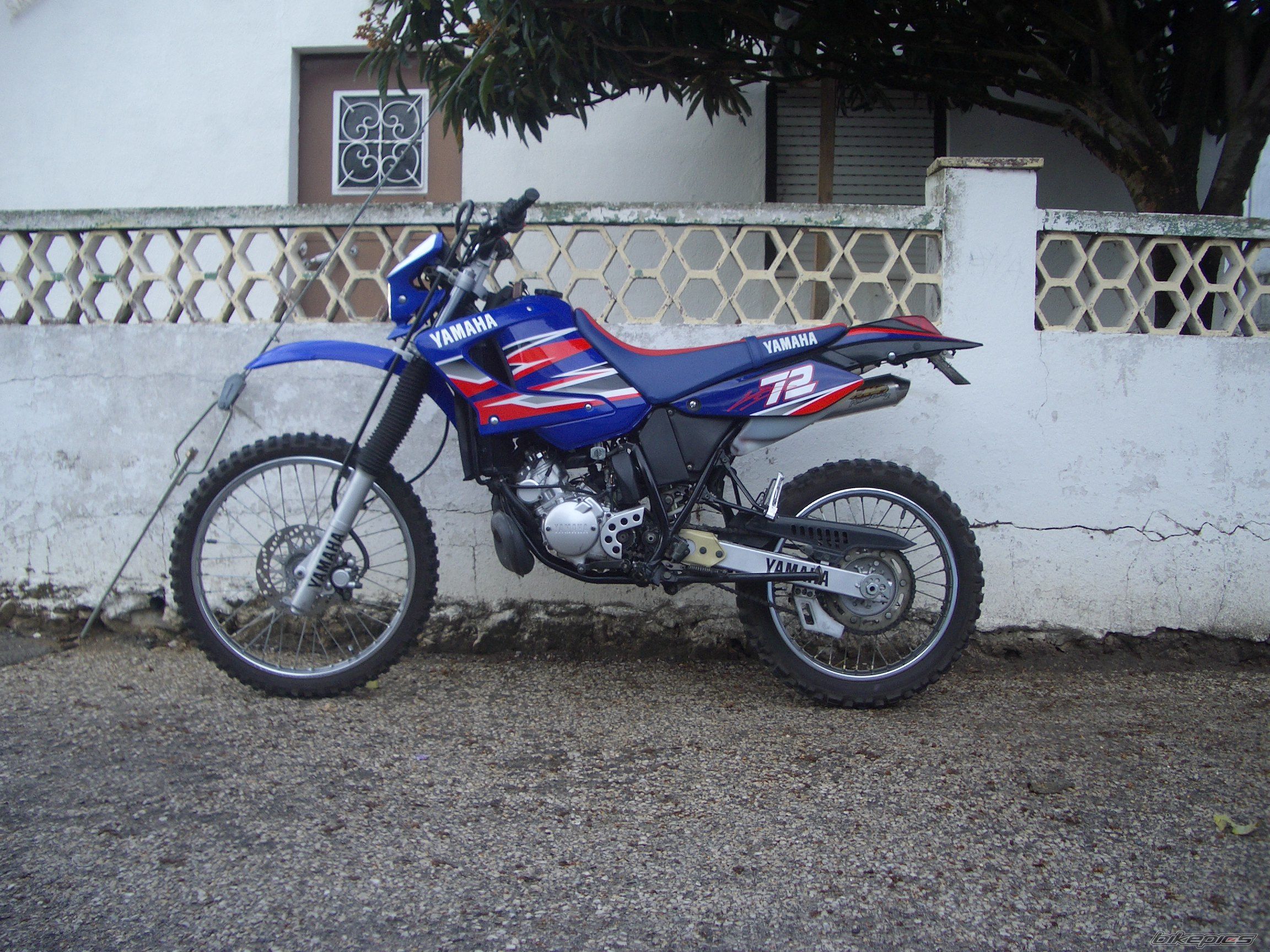 Photo 1501034