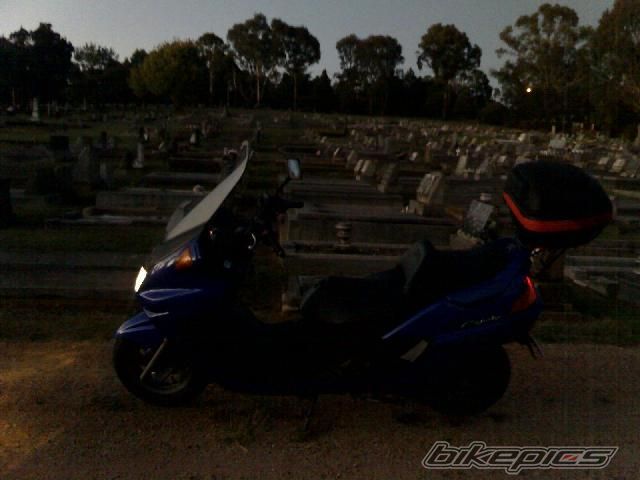 Photo 1501065