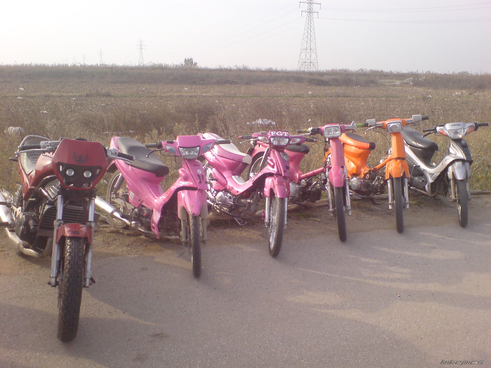 Photo 1501111