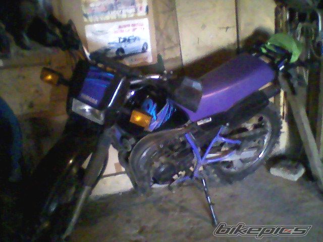 Photo 1501194