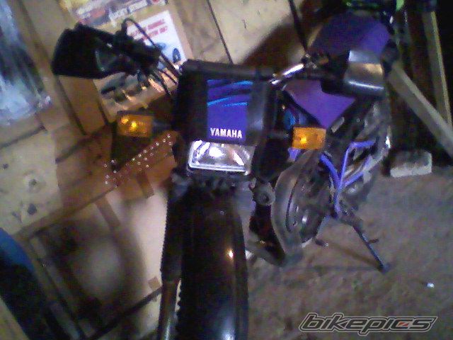 Photo 1501197