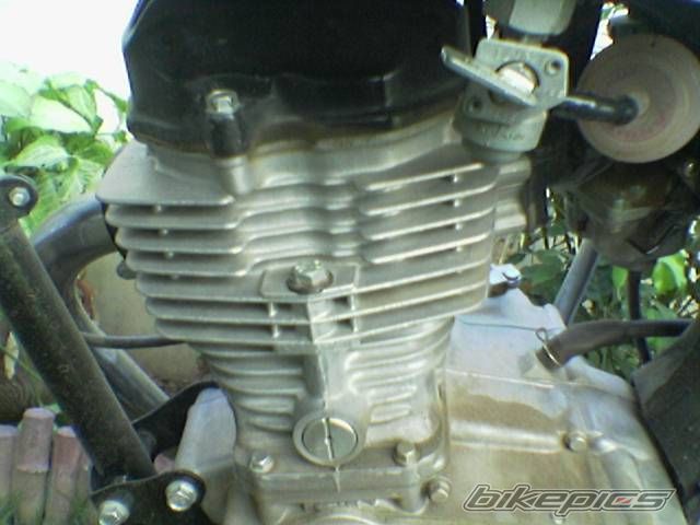 Photo 1501343