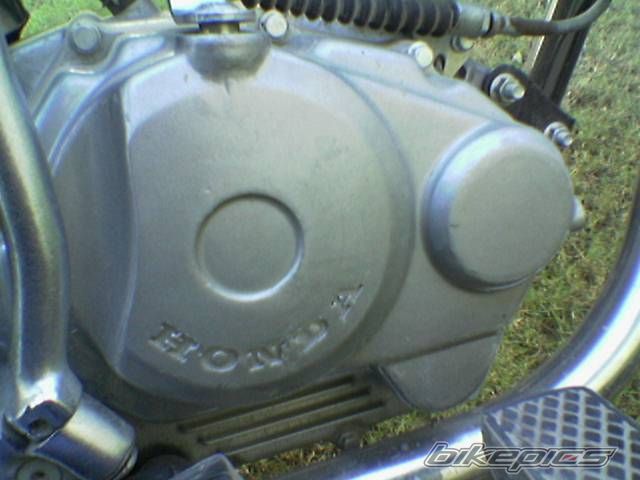Photo 1501353