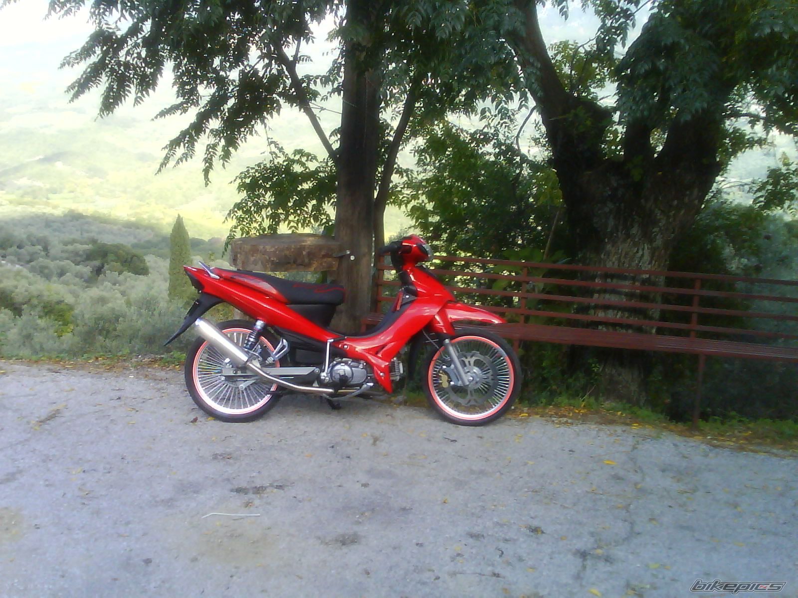 Photo 1501399