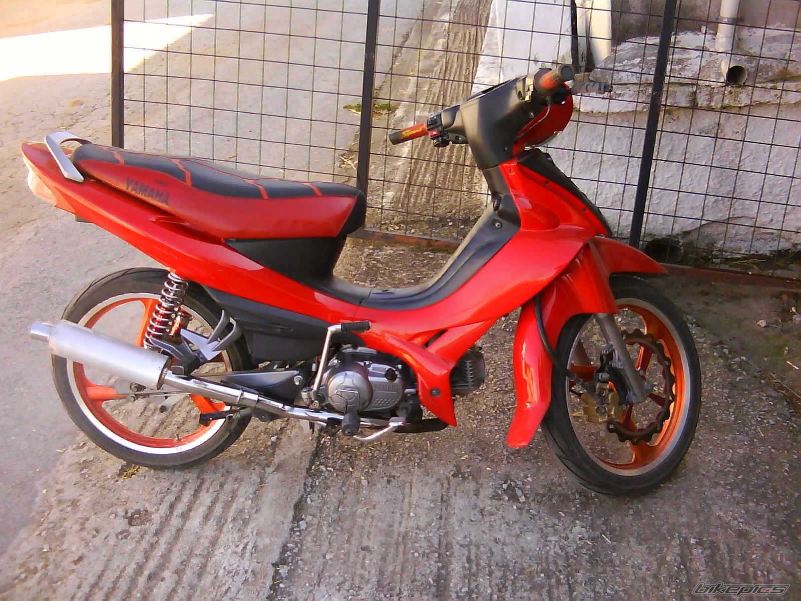 Photo 1501421