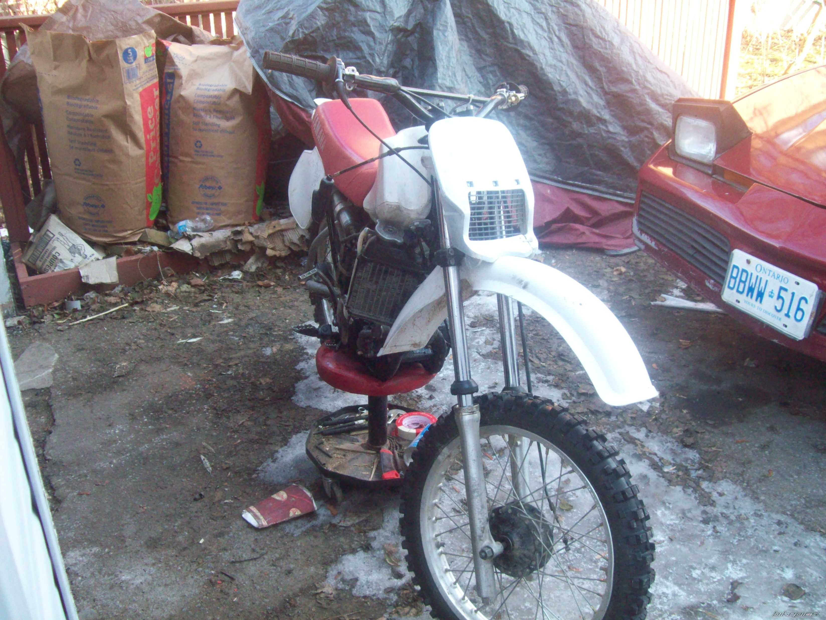 Photo 1501432