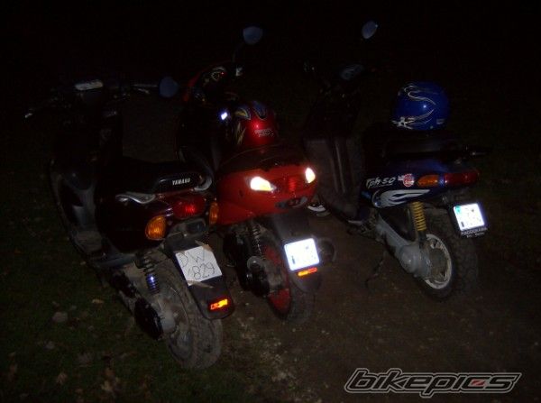 Photo 1501454