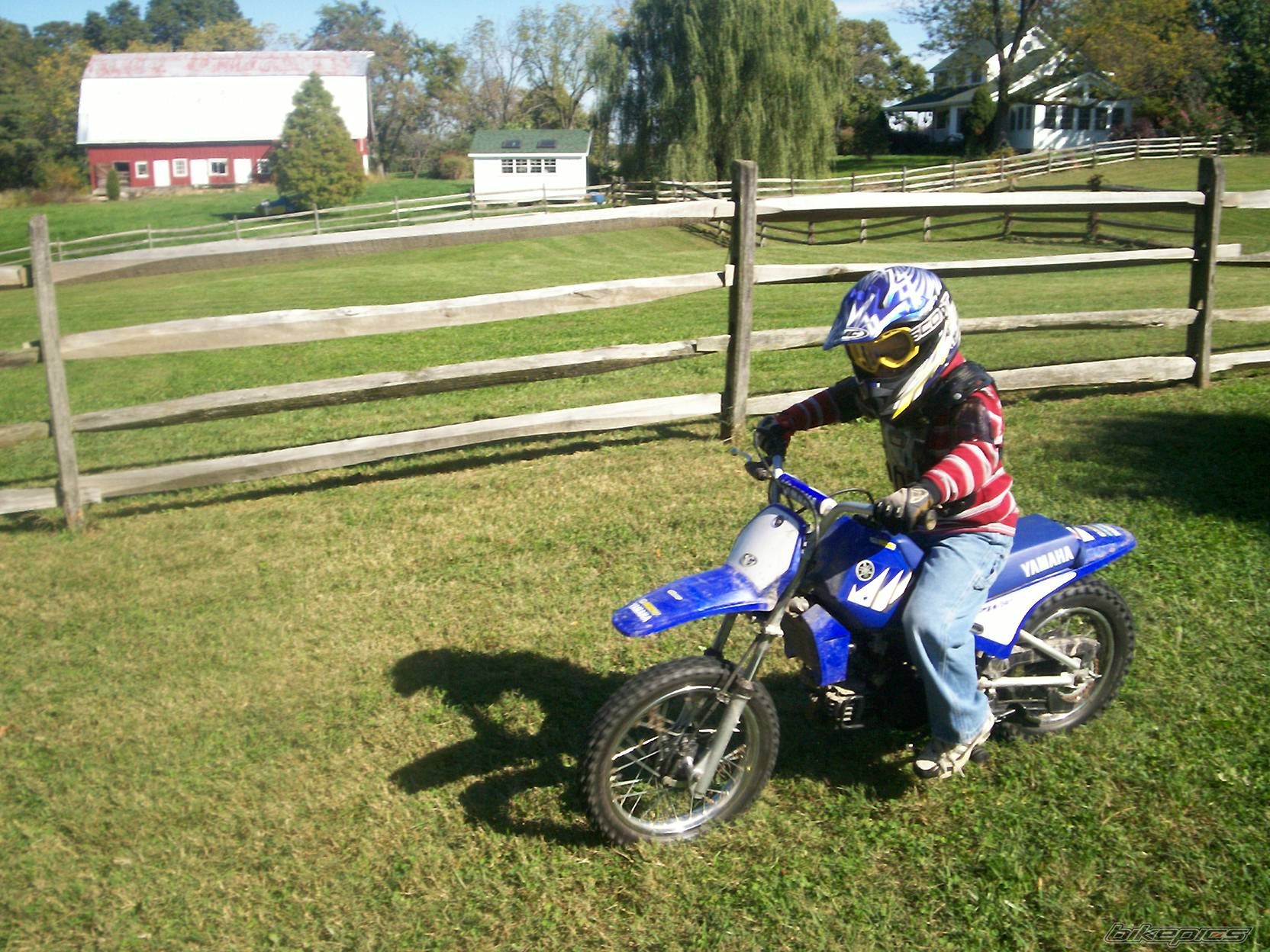 Bike Photo 1501498