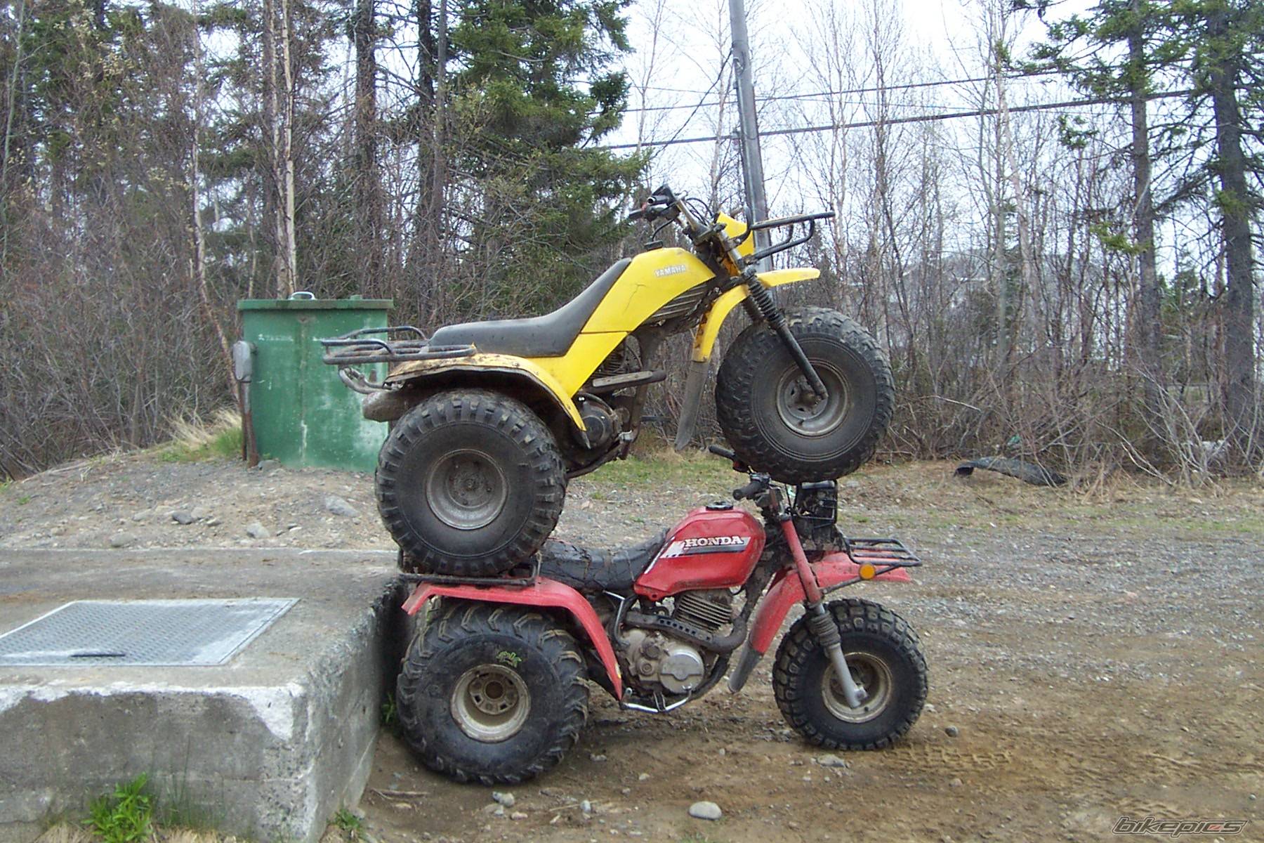 Photo 150156