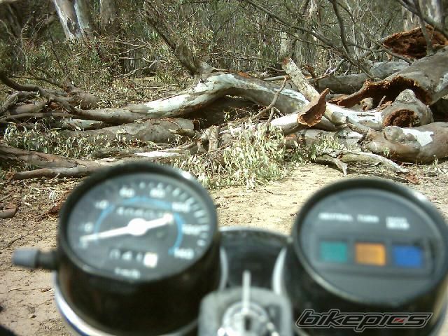 Photo 1501645