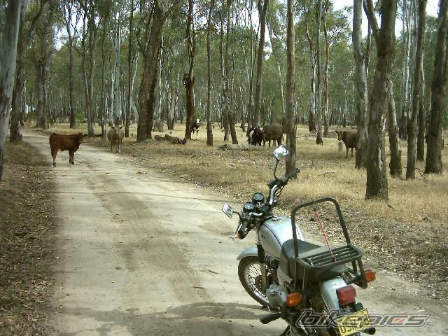 Photo 1501646