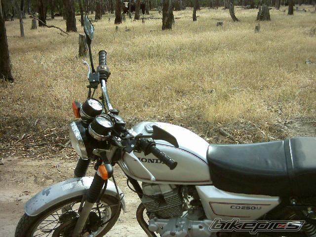 Photo 1501647