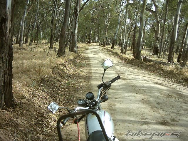 Bike Photo 1501650