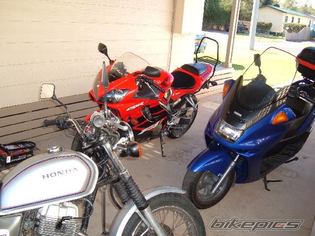 Photo 1501651