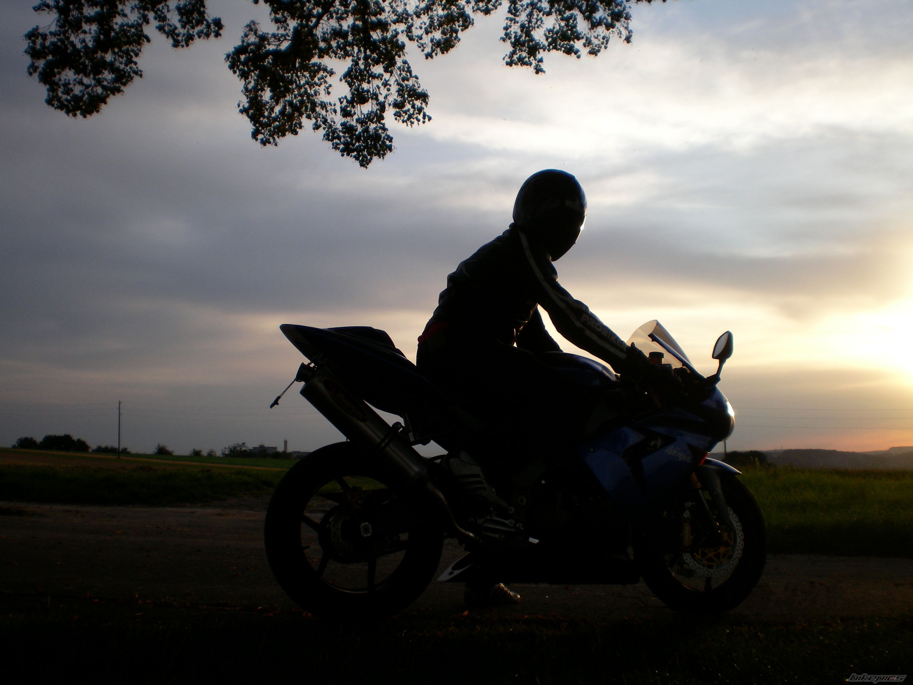 Bike Photo 1502022