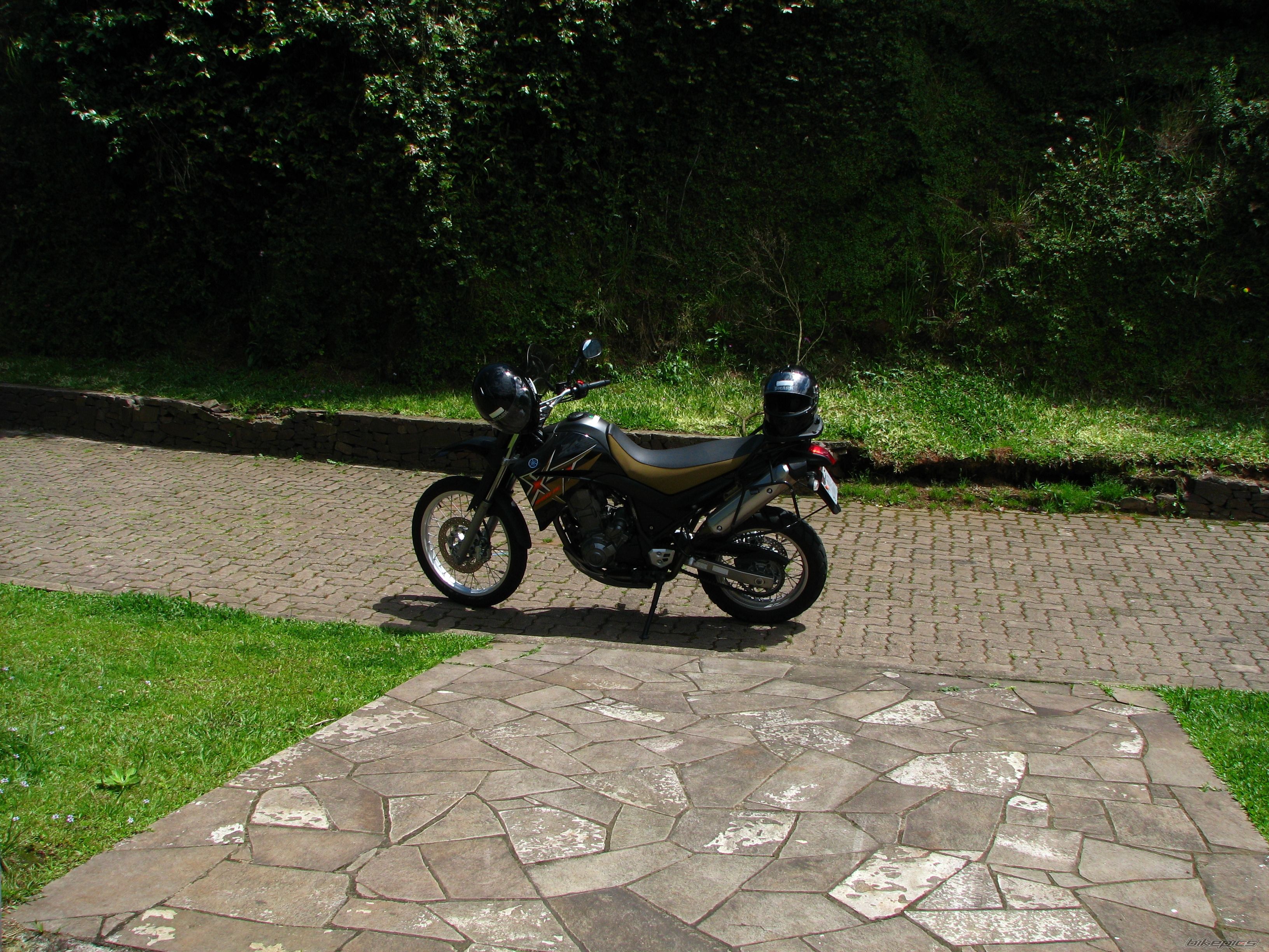 Bike Photo 1502062