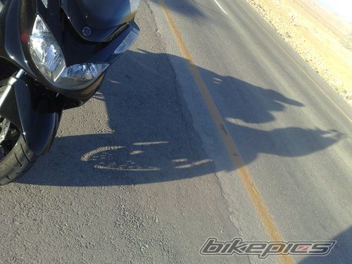 Photo 1502088