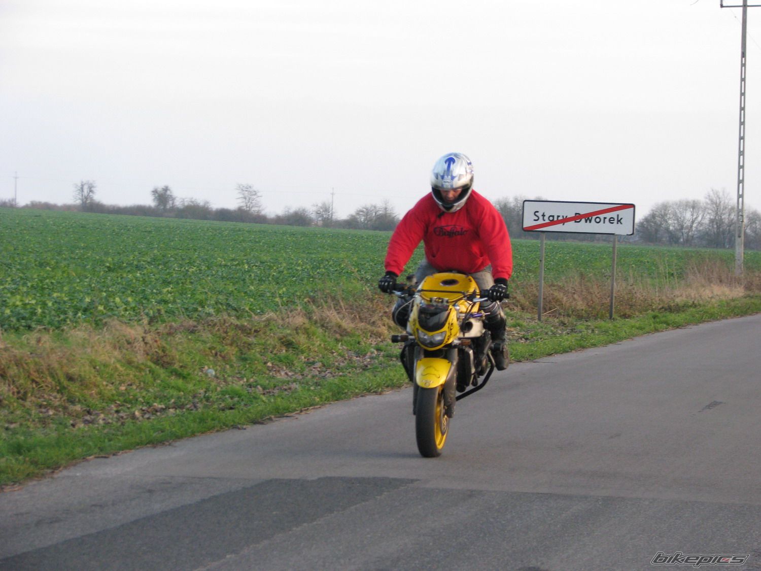 Photo 1502504