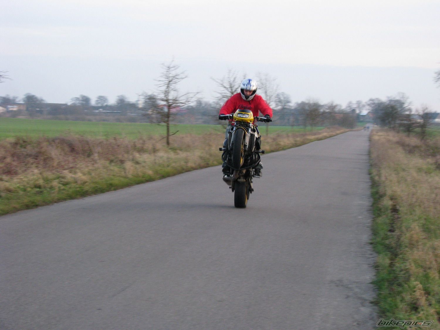 Photo 1502505