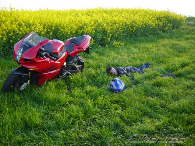 Photo 150257