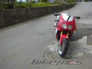 Photo 150262