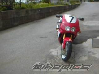 Photo 150263
