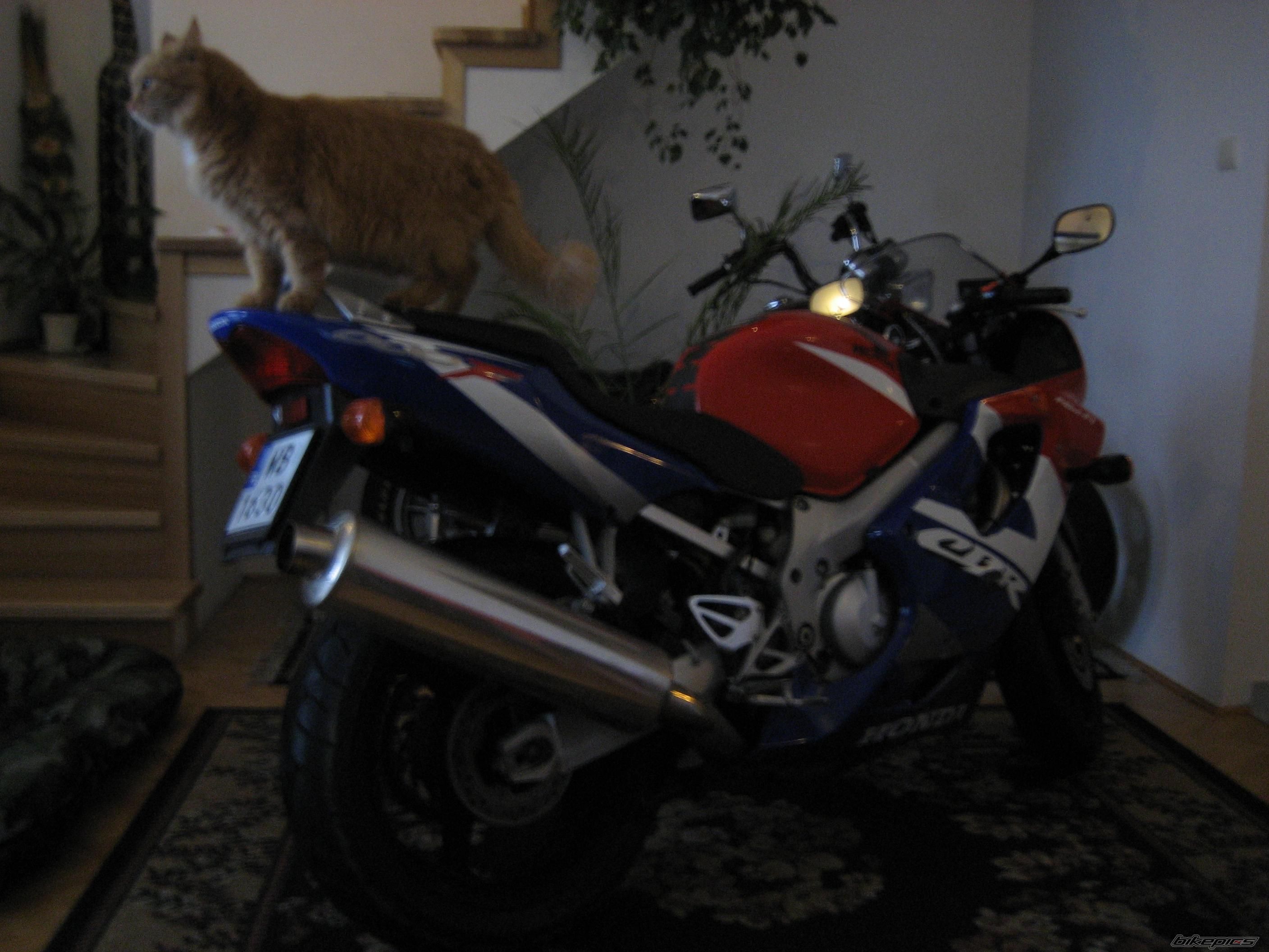 Photo 1502642