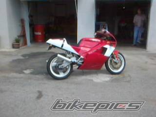 Photo 150265