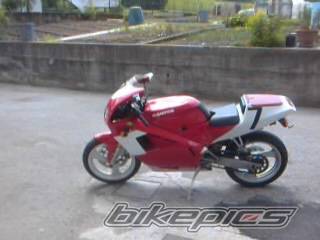 Photo 150266
