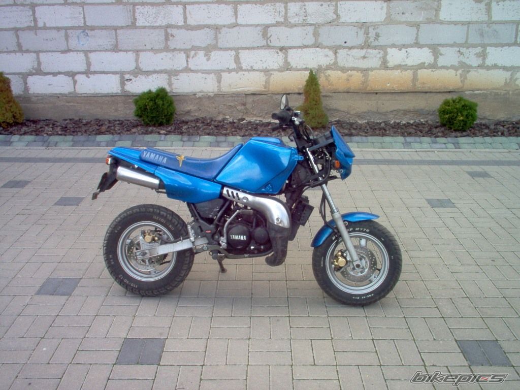 Photo 1502664