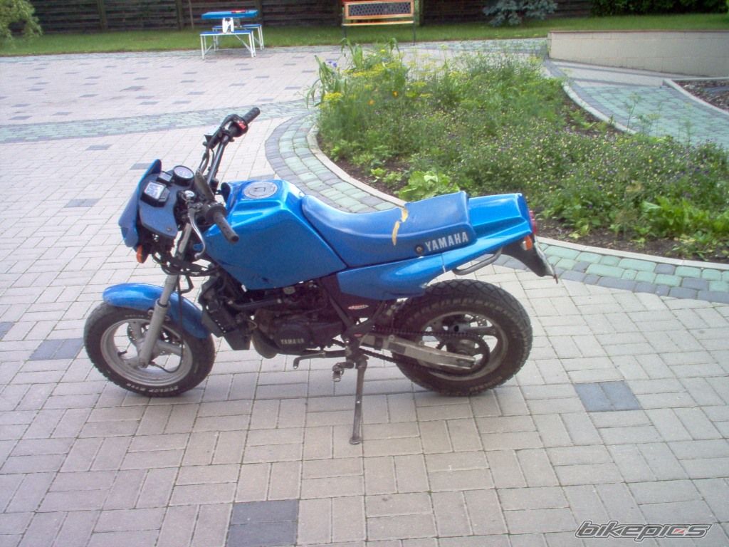 Photo 1502666