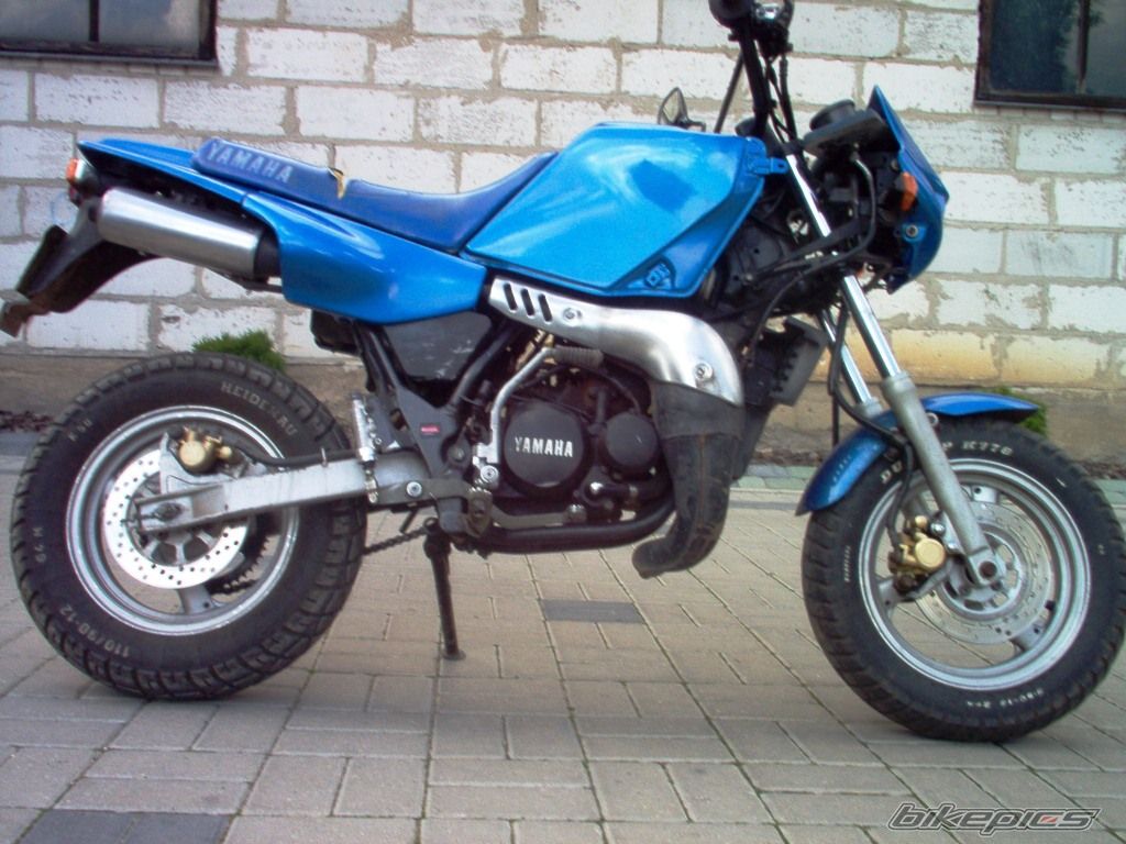 Photo 1502668