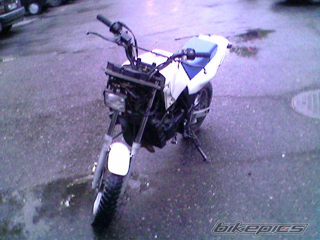 Photo 1502674