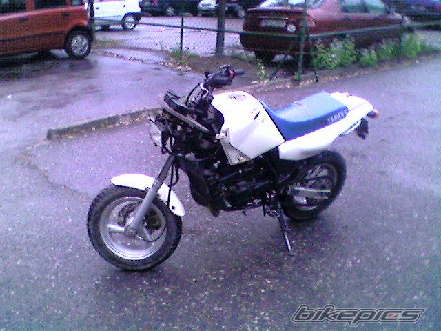Photo 1502676