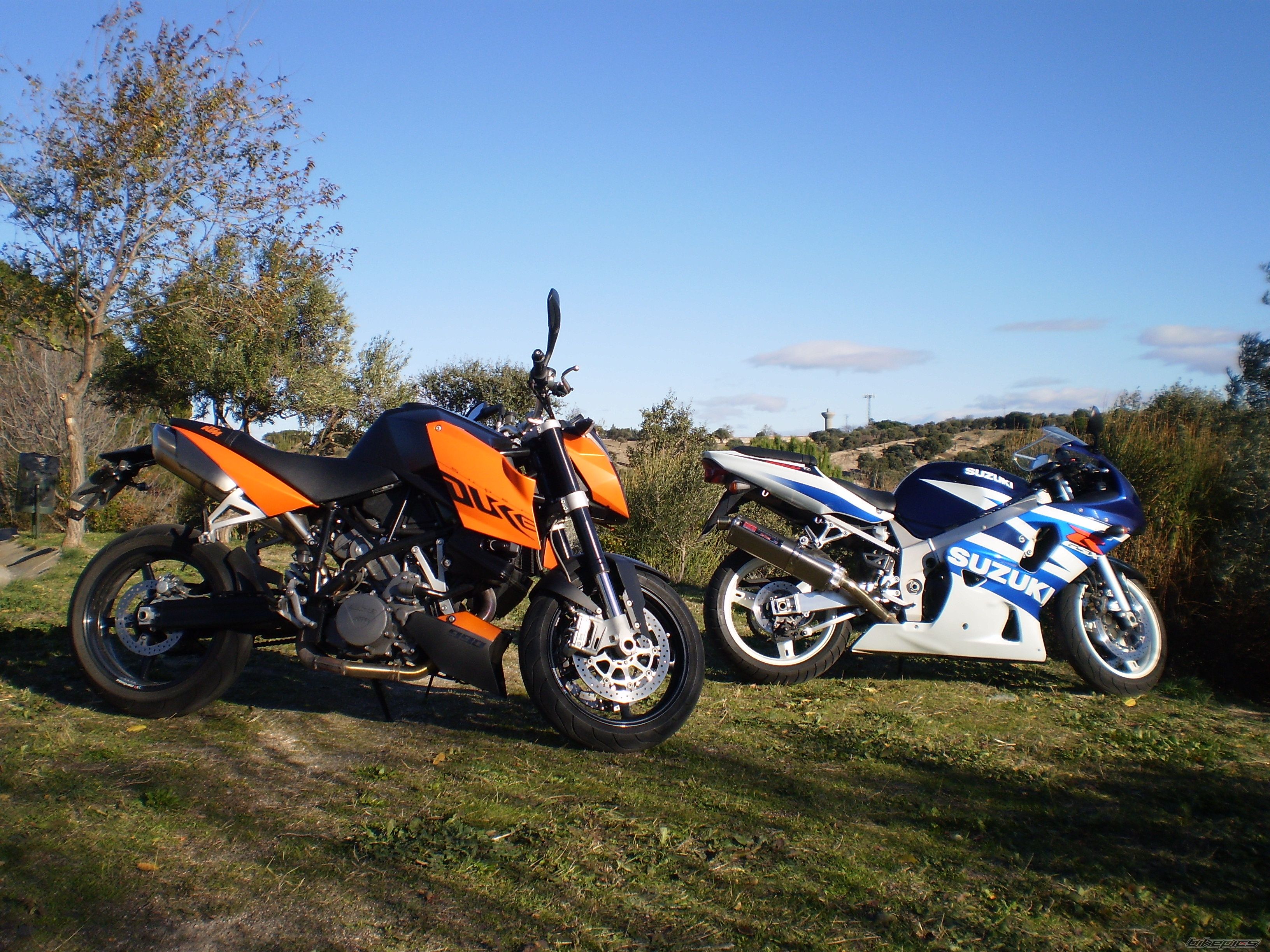 Photo 1502820