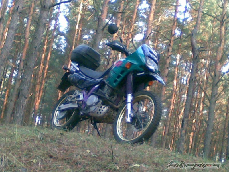 Bike Photo 1502899
