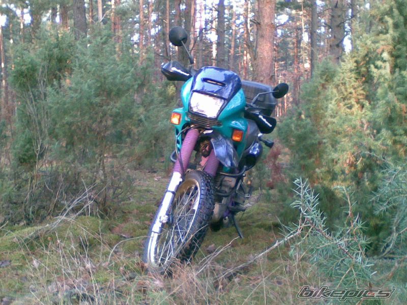 Bike Photo 1502902
