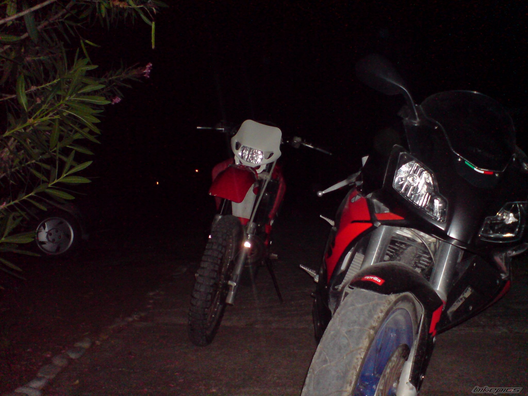 Photo 1502958